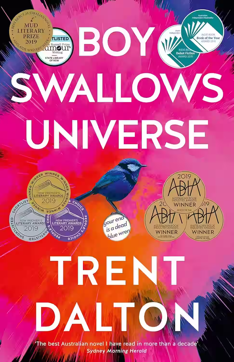 Boy Swallows Universe