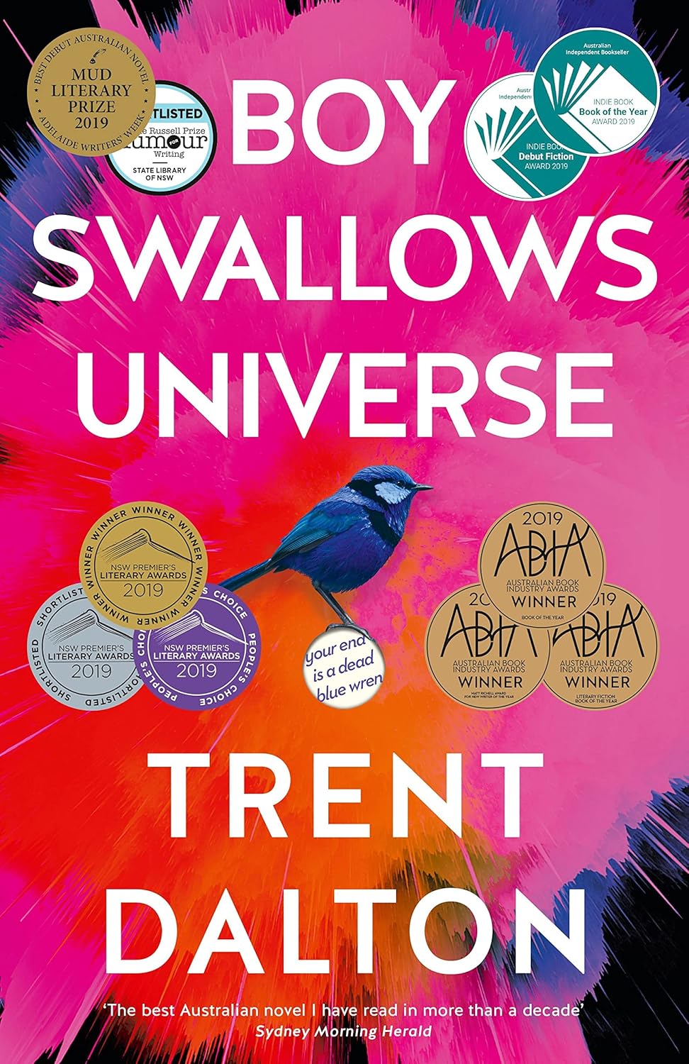 Boy Swallows Universe